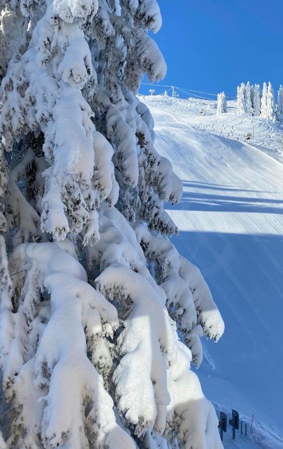 Olimpik House Jahorina Villa Exterior foto